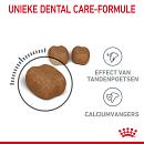 Royal Canin Kattenvoer Dental Care 3,5 kg