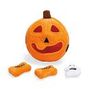 Beeztees Halloween Hide n Seek Pompoen