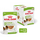 Royal Canin Hondenvoer X-Small Adult 12 x 85 gr