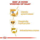 Royal Canin hondenvoer Boxer Adult 3 kg